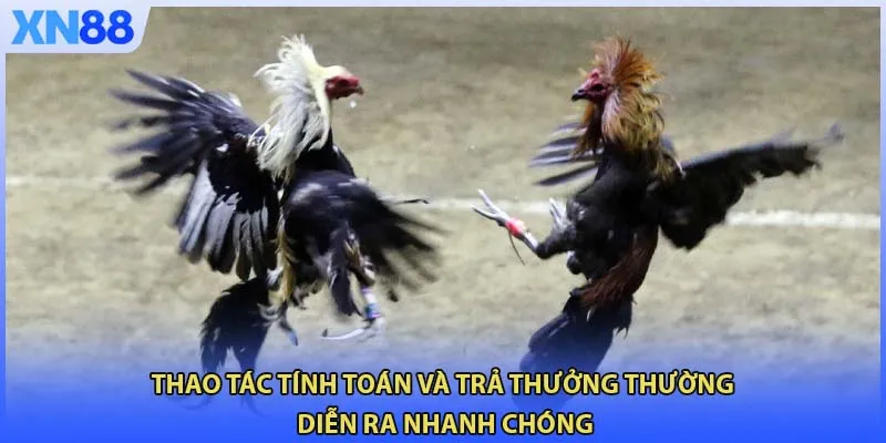 Thao tác tính toán và trả thưởng thường diễn ra nhanh chóng